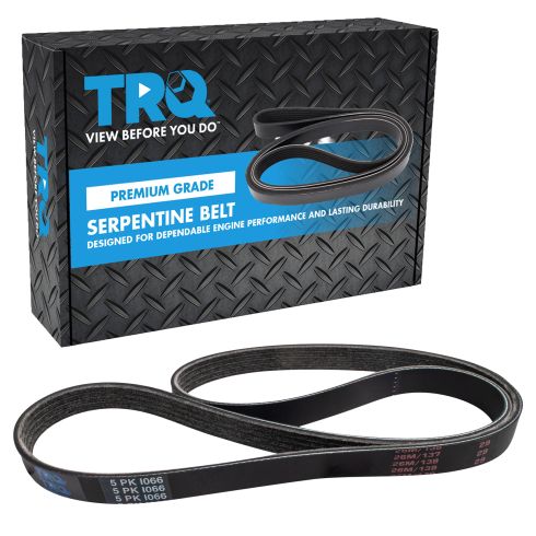 Serpentine Belt