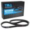 Serpentine Belt