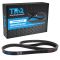 Serpentine Belt