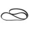 Serpentine Belt