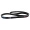 Serpentine Belt