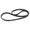 Serpentine Belt