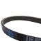 Serpentine Belt