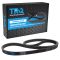Serpentine Belt