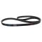Serpentine Belt