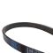 Serpentine Belt