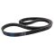 Serpentine Belt