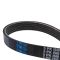 Serpentine Belt