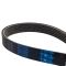 Serpentine Belt