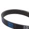 Serpentine Belt