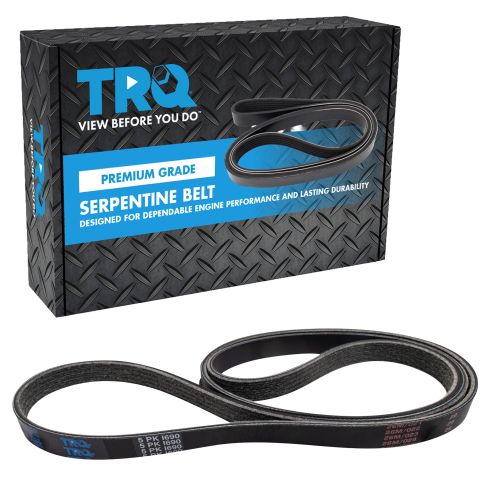 Serpentine Belt