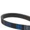 Serpentine Belt