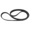 Serpentine Belt