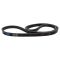 Serpentine Belt