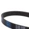 Serpentine Belt