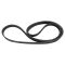 Serpentine Belt