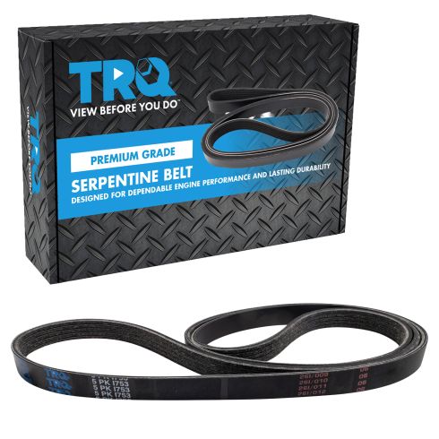 Serpentine Belt