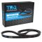 Serpentine Belt
