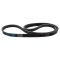 Serpentine Belt