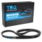Serpentine Belt