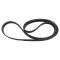 Serpentine Belt