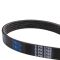 Serpentine Belt