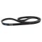 Serpentine Belt