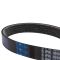 Serpentine Belt