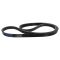 Serpentine Belt