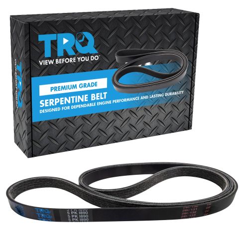 Serpentine Belt