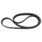 Serpentine Belt