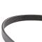 Serpentine Belt