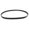 Serpentine Belt