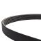 Serpentine Belt
