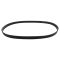 Serpentine Belt