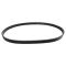 Serpentine Belt