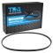 Serpentine Belt