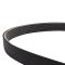 Serpentine Belt