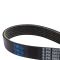 Serpentine Belt