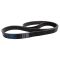 Serpentine Belt