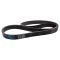 Serpentine Belt