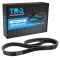 Serpentine Belt