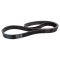 Serpentine Belt