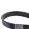 Serpentine Belt