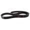 Serpentine Belt