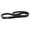 Serpentine Belt