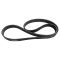 Serpentine Belt