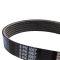 Serpentine Belt