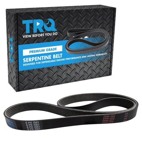 Serpentine Belt