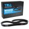 Serpentine Belt